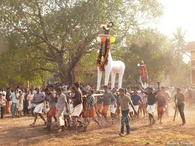 mangad-pooram-2012 (25)